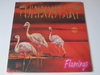Turbostaat - Flamingo LP Vinyl Schallplatte