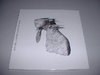 Coldplay - A Rush Of Blood LP Vinyl Gatefold